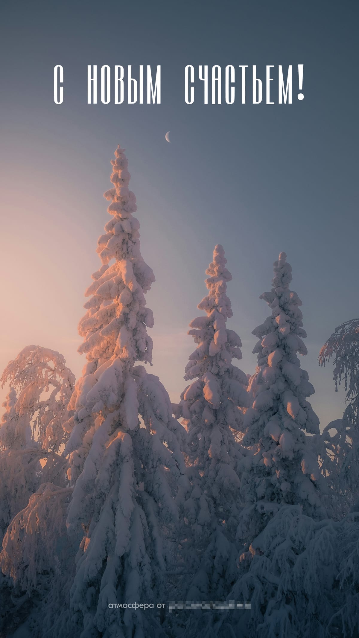 Обои