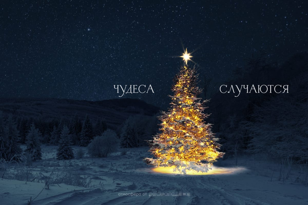 Обои